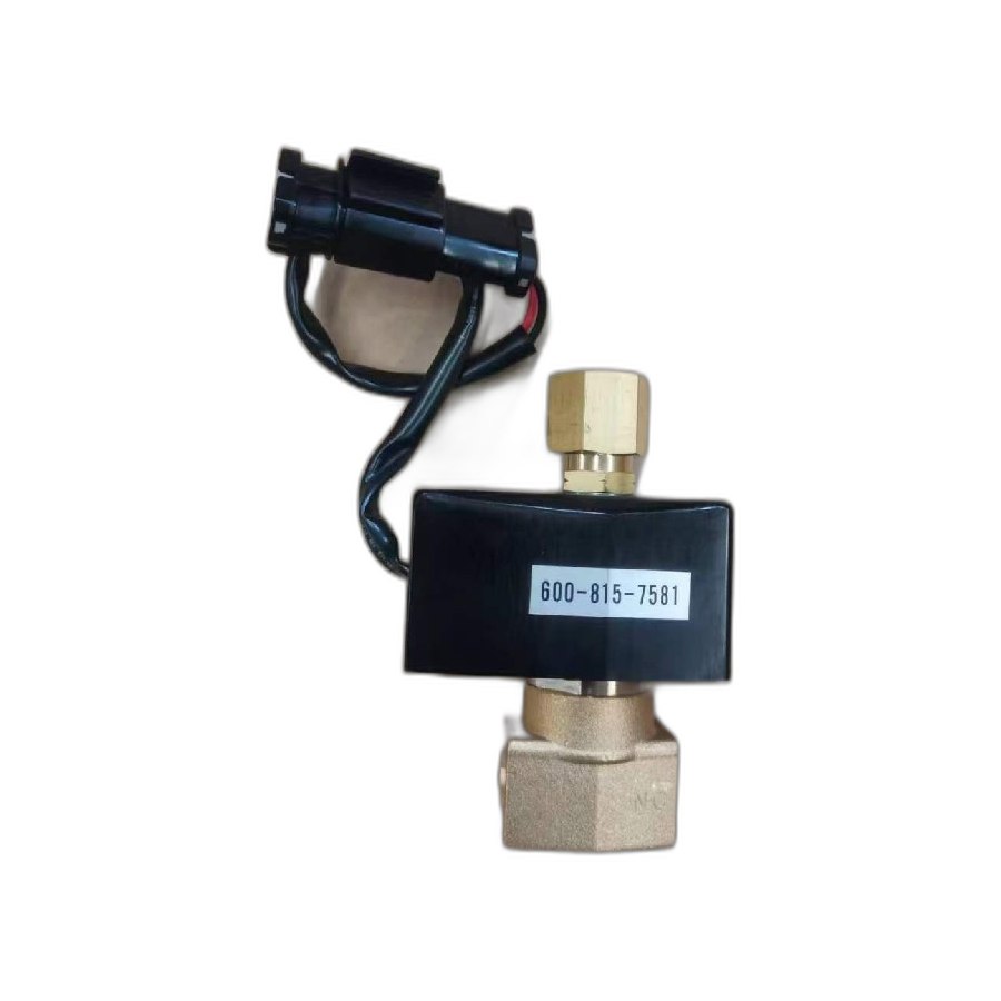 Valve 600-815-7581